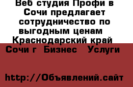 Веб-студия Профи в Сочи предлагает сотрудничество по выгодным ценам - Краснодарский край, Сочи г. Бизнес » Услуги   